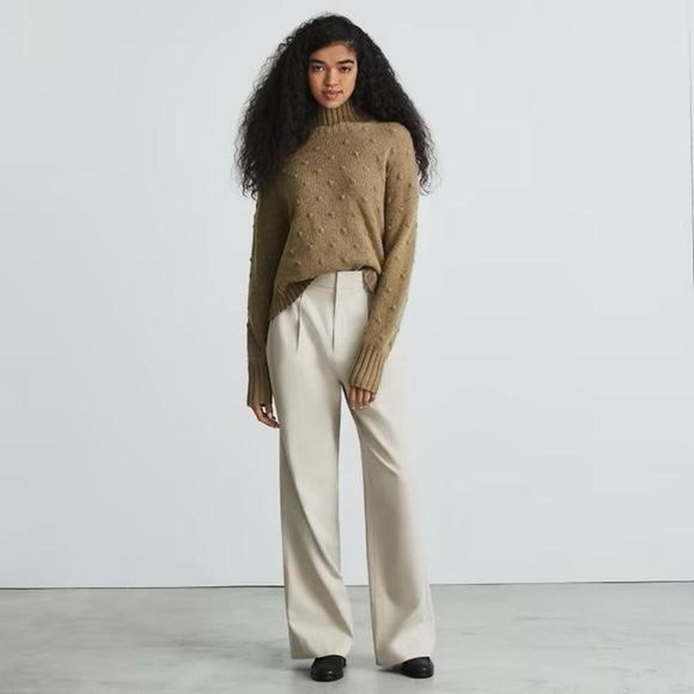 Everlane The Alpaca Pom-pom Turtleneck Sweater